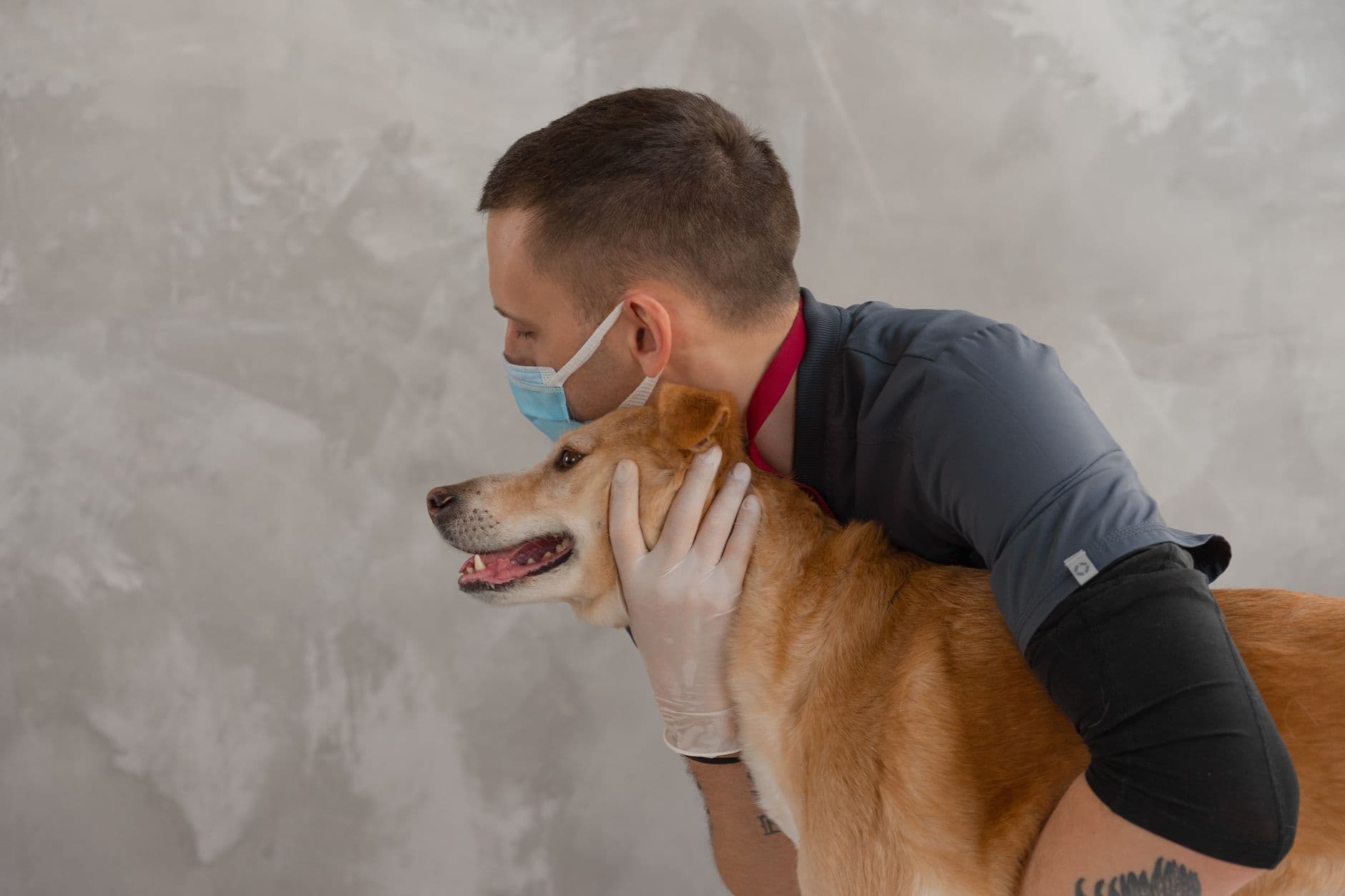 An independent-clinic vet embracing a golden retriever